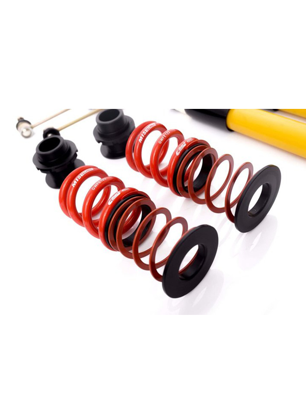 MTS Technik koiloveri - stance BMW E46