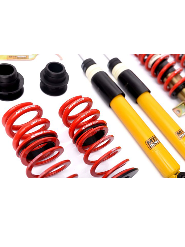 MTS Technik koiloveri - stance BMW E36